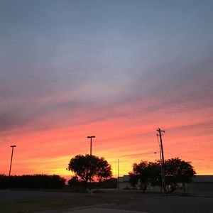 Meet your Posher, Song ngư